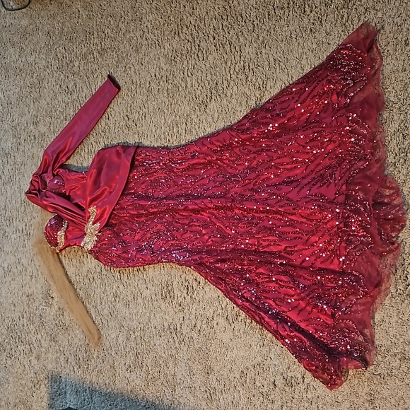 Stunning gown! - Picture 1 of 14